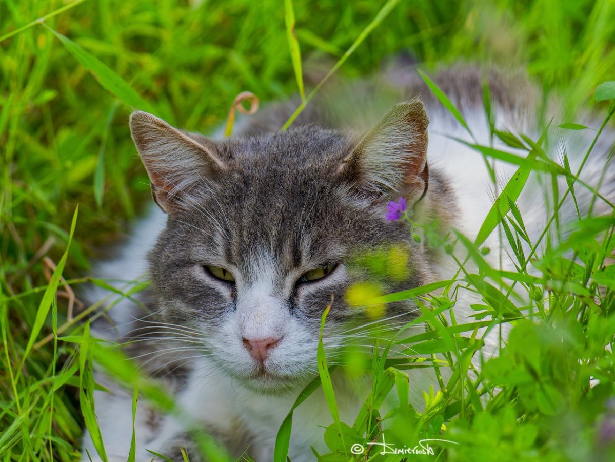 _1360323_DxO_MoreDetail-v3_5100x3829_2pass_MoreDetail-v3 copy_WM.jpg