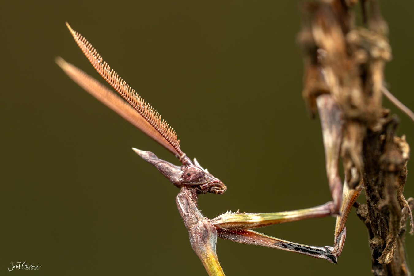ARV00554-Edit web.jpg