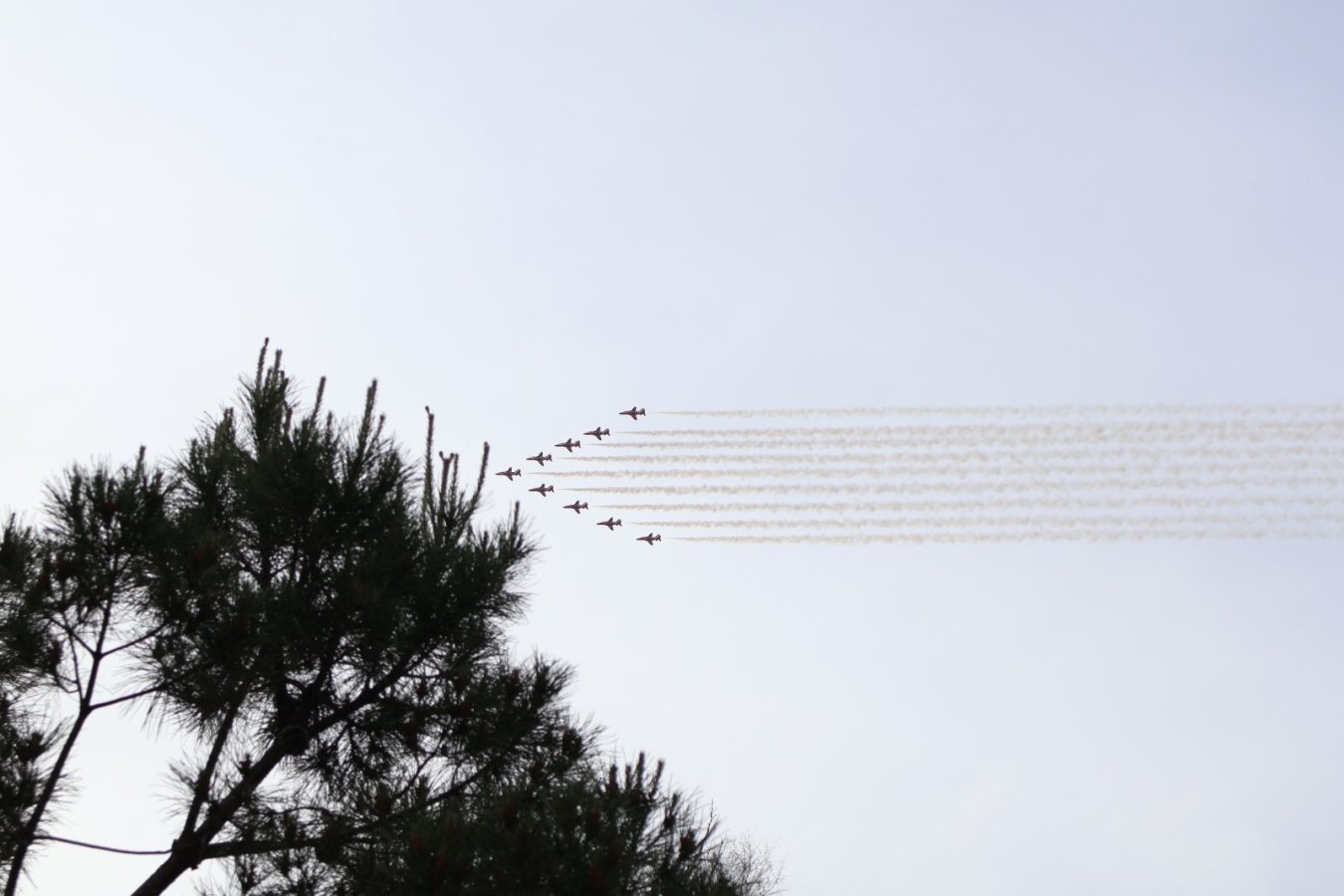 IMG-57c70a351b4e24adf6c859524663e4aa-V.jpg