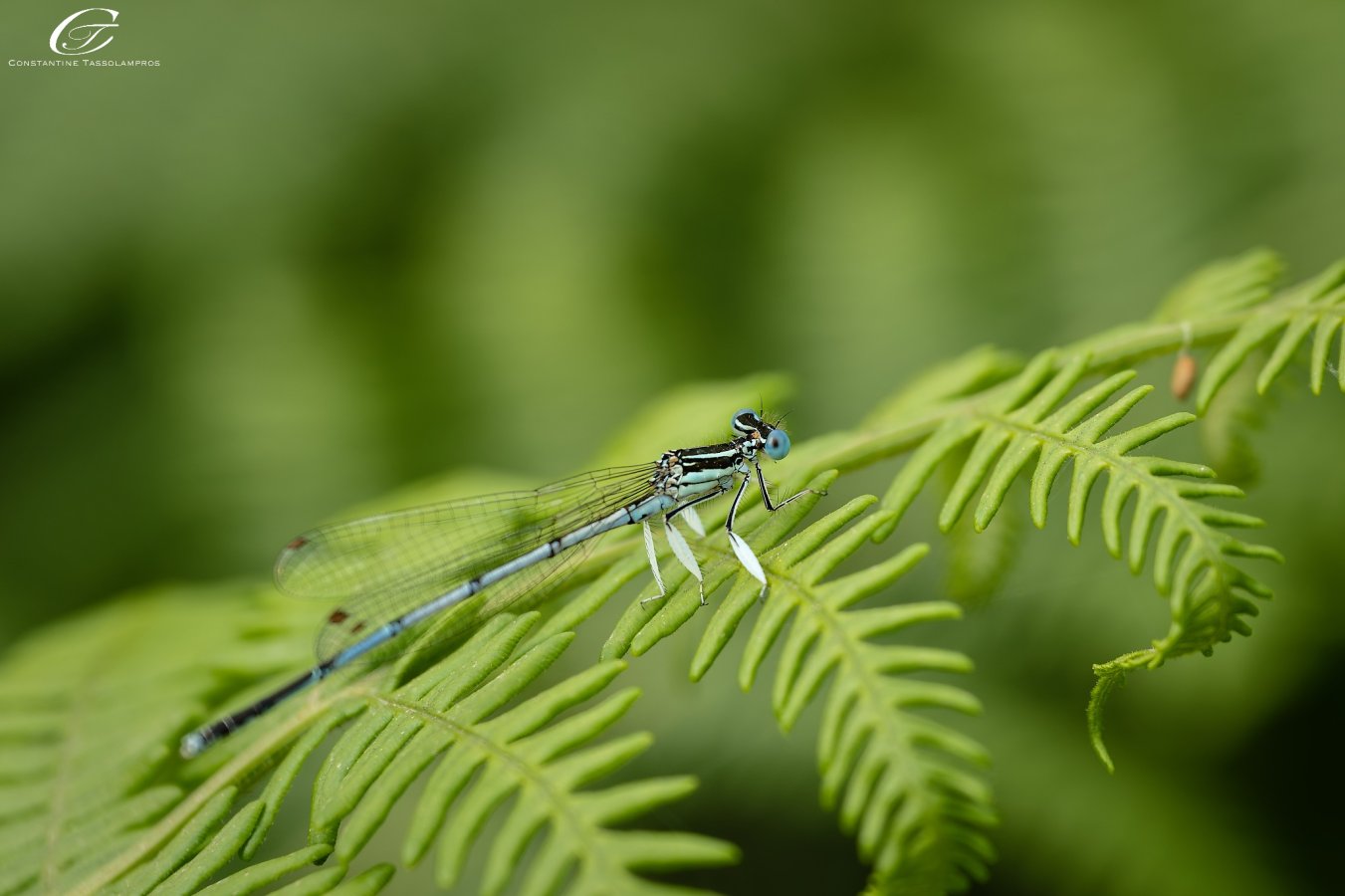 20260510_NZ83370_DxO.jpg