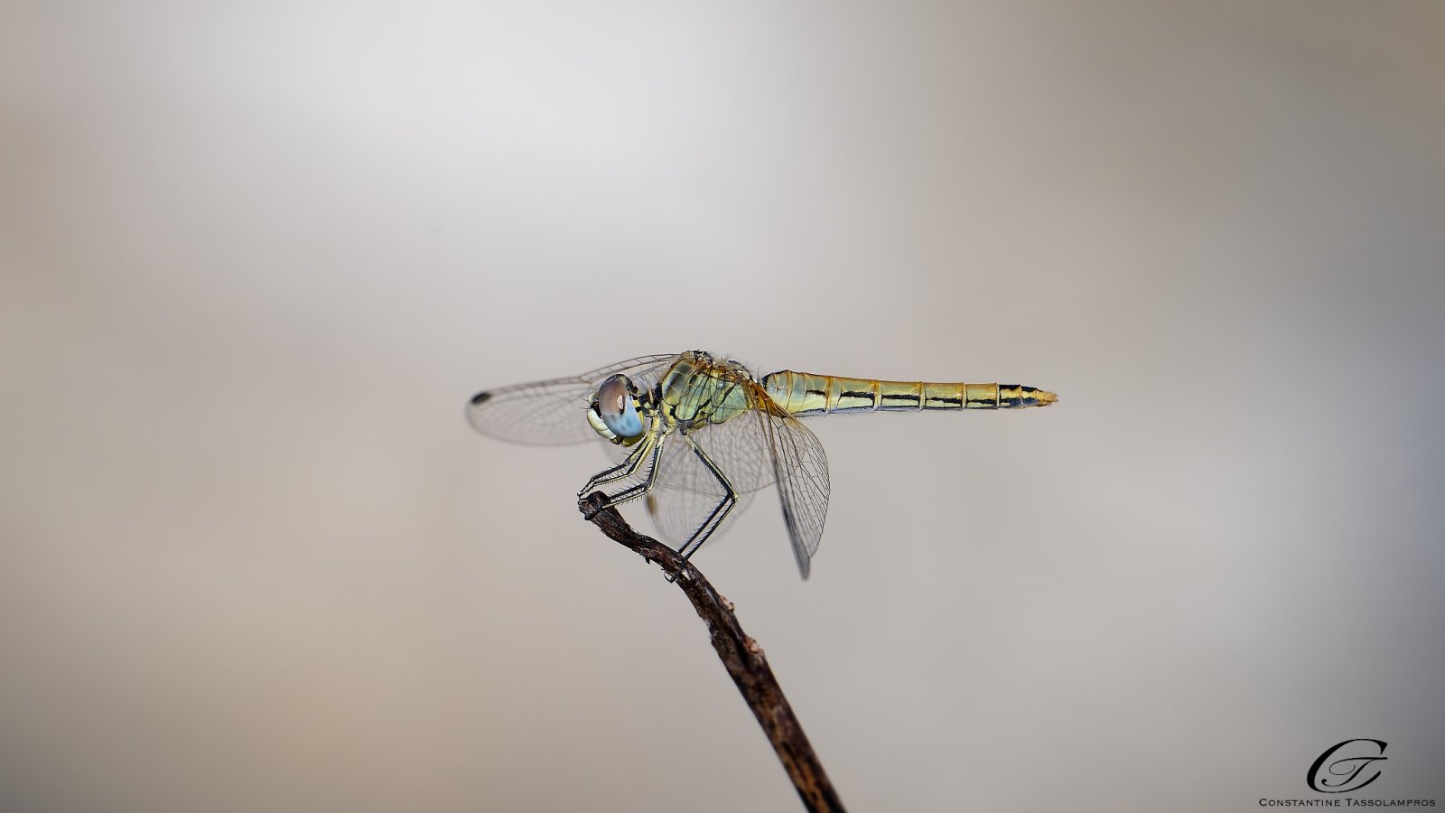 20250909_NZ84647_1_DxO.jpg