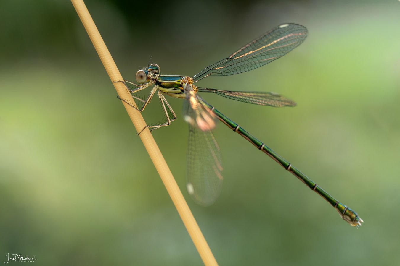 ARV01847-Edit web.jpg