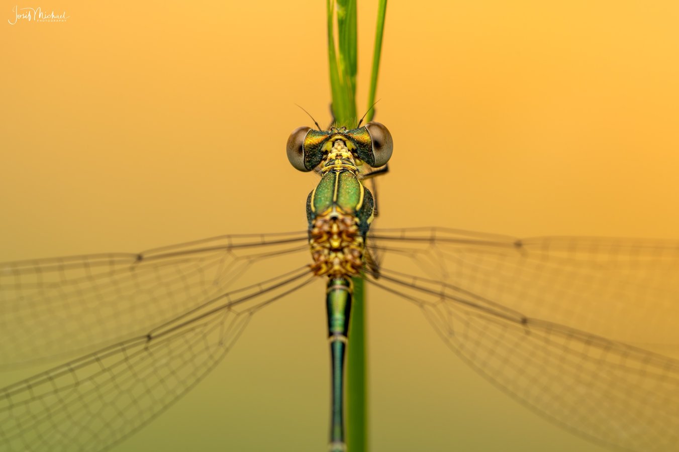 ARV02307-Edit web.jpg