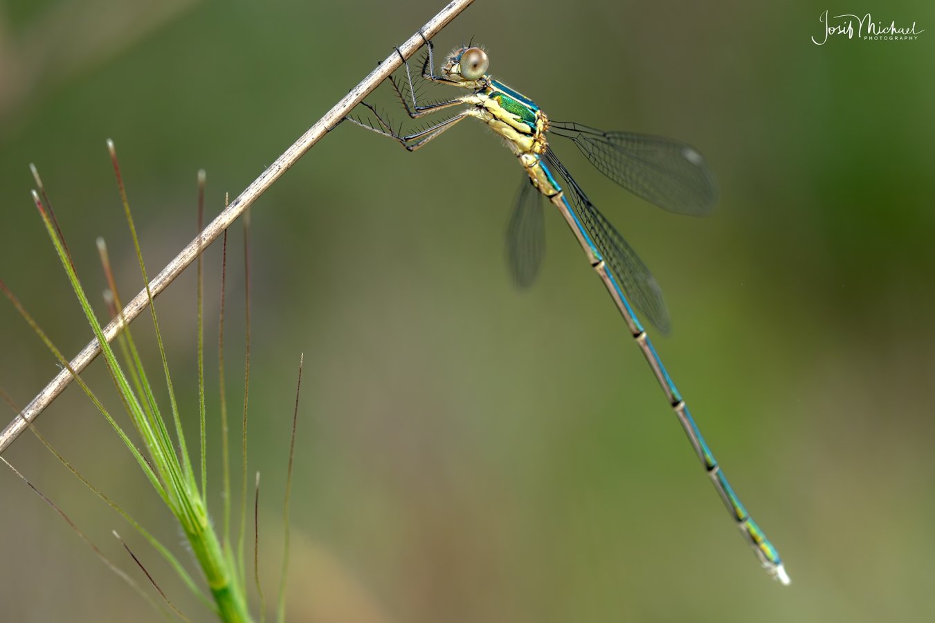 ARV02337-Edit web.jpg