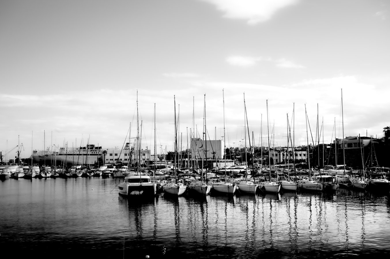 _Z625102.jpg