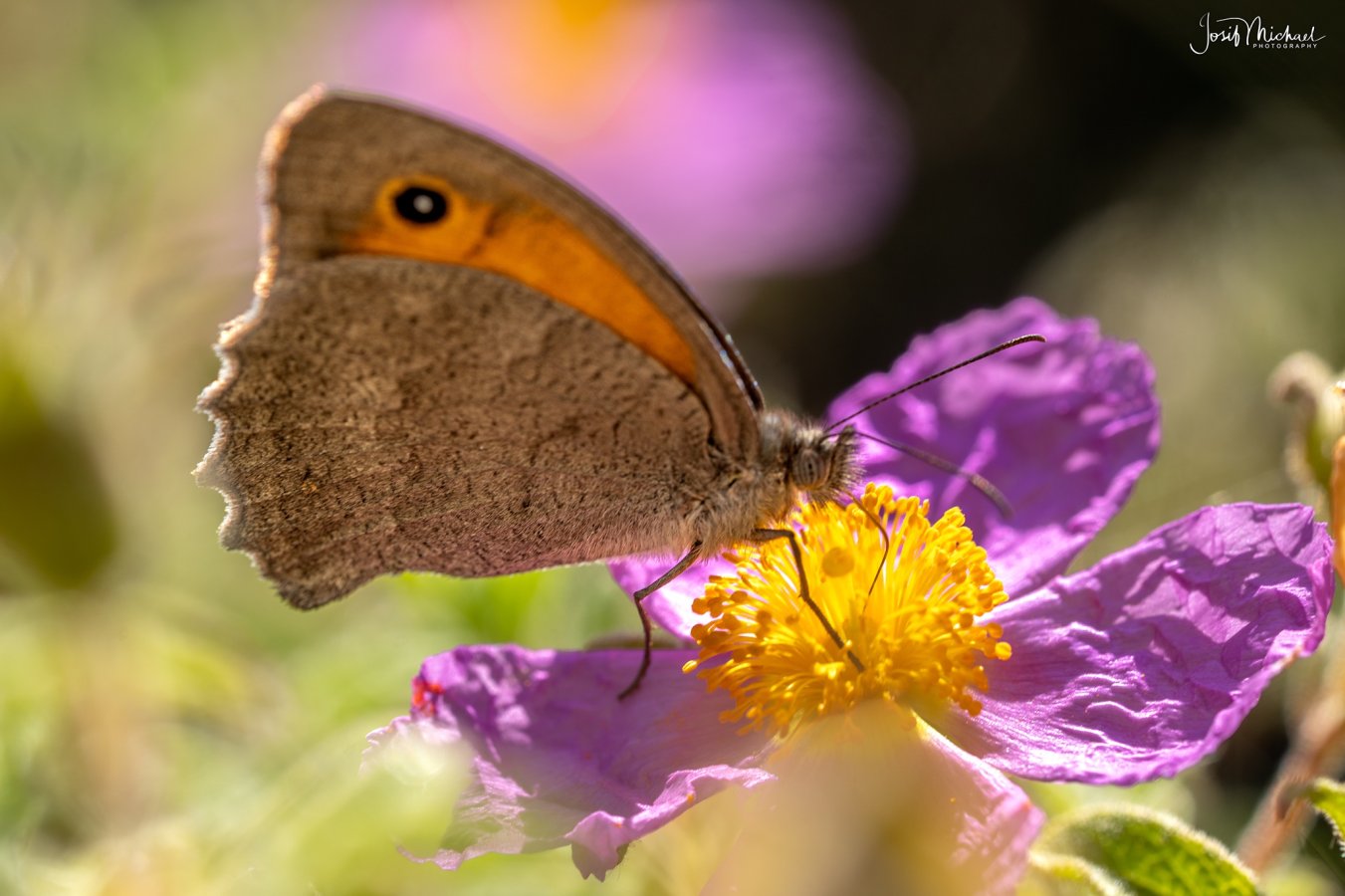 ARV00623-Edit web.jpg
