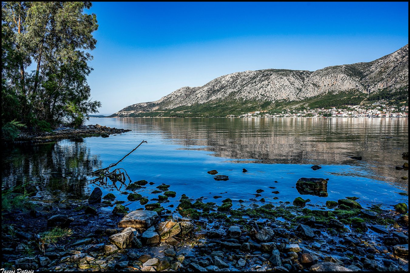 _DSC8061_1.jpg