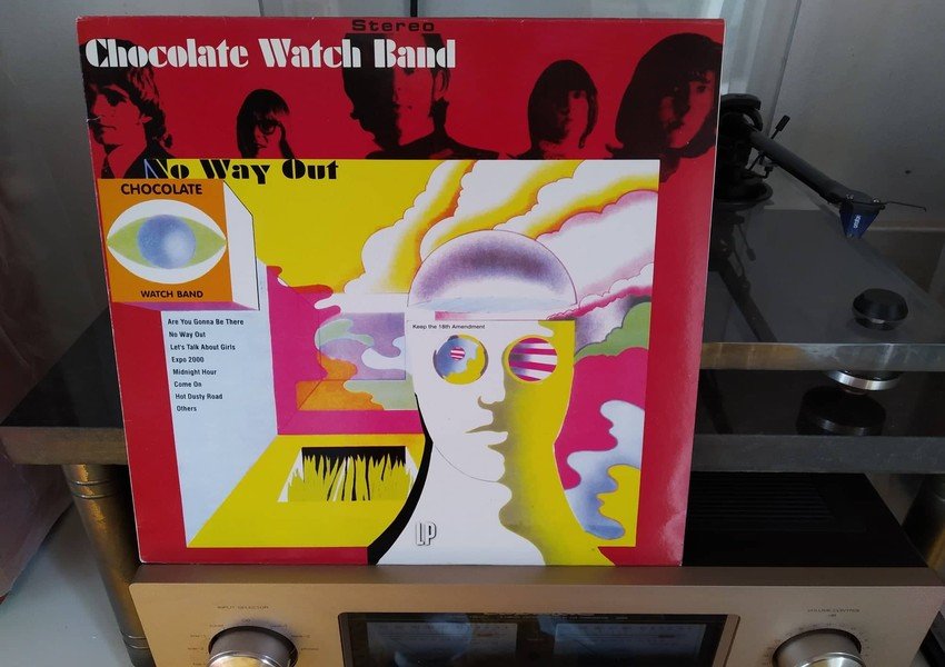 chocolate watch band.jpg