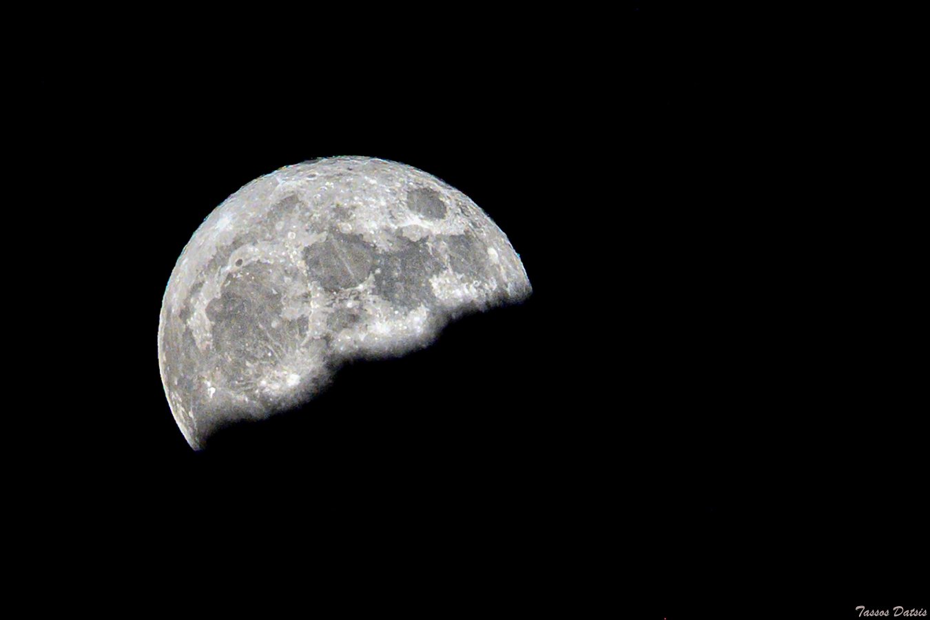 _DSC8278_1.jpg