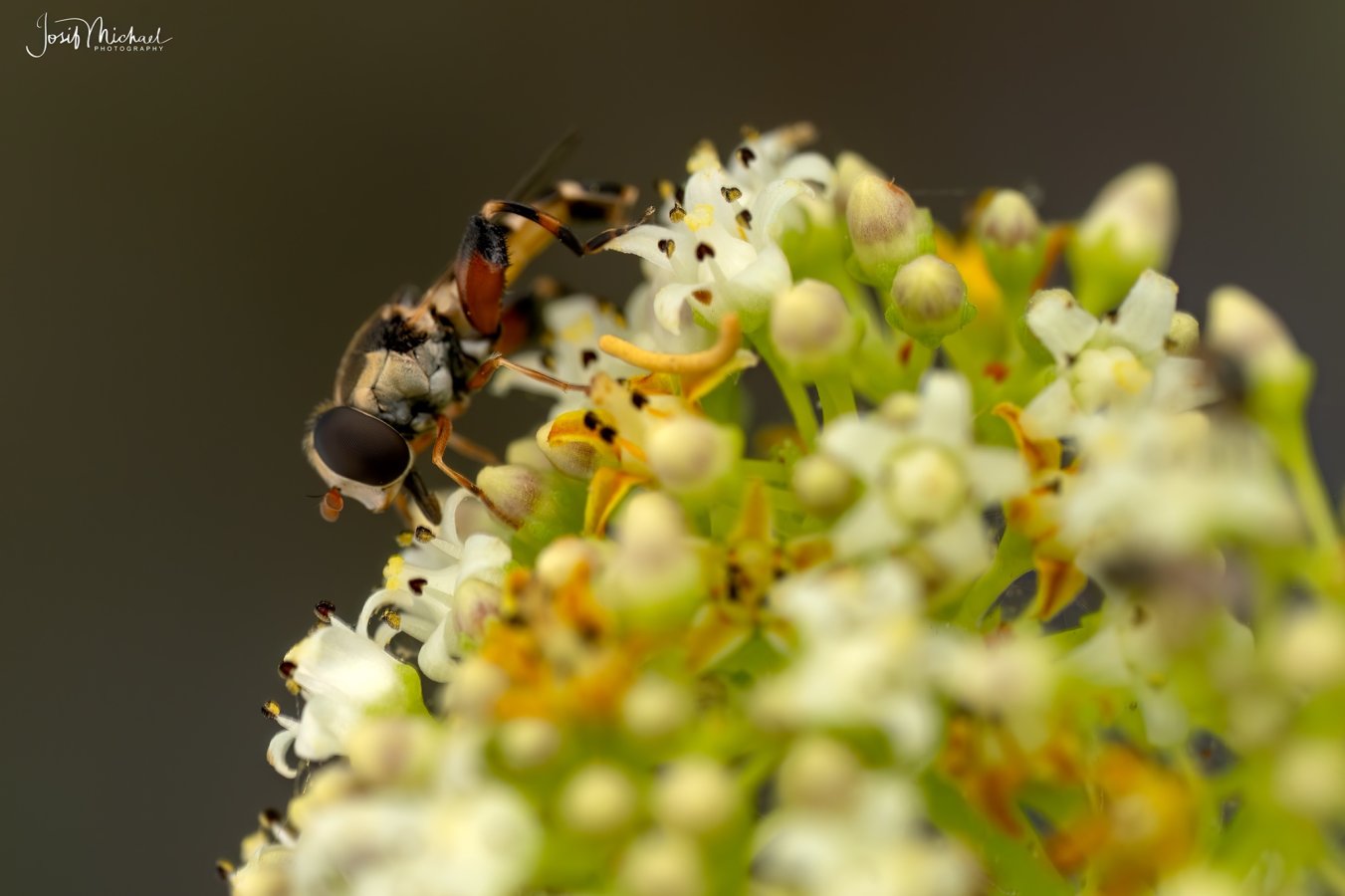 ARV00631-Edit web.jpg