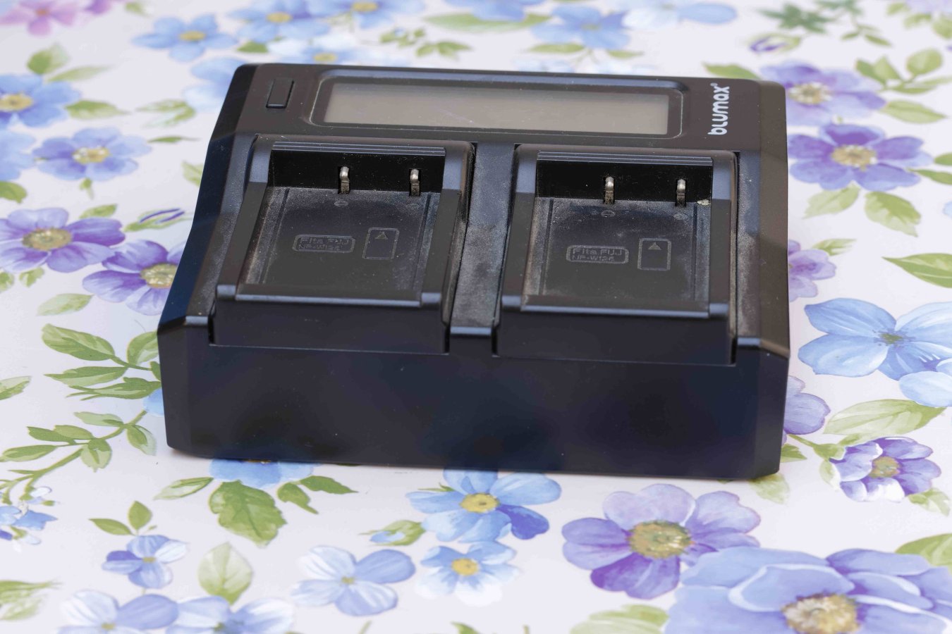 _MGL76122023-08 blumax fuji.jpg
