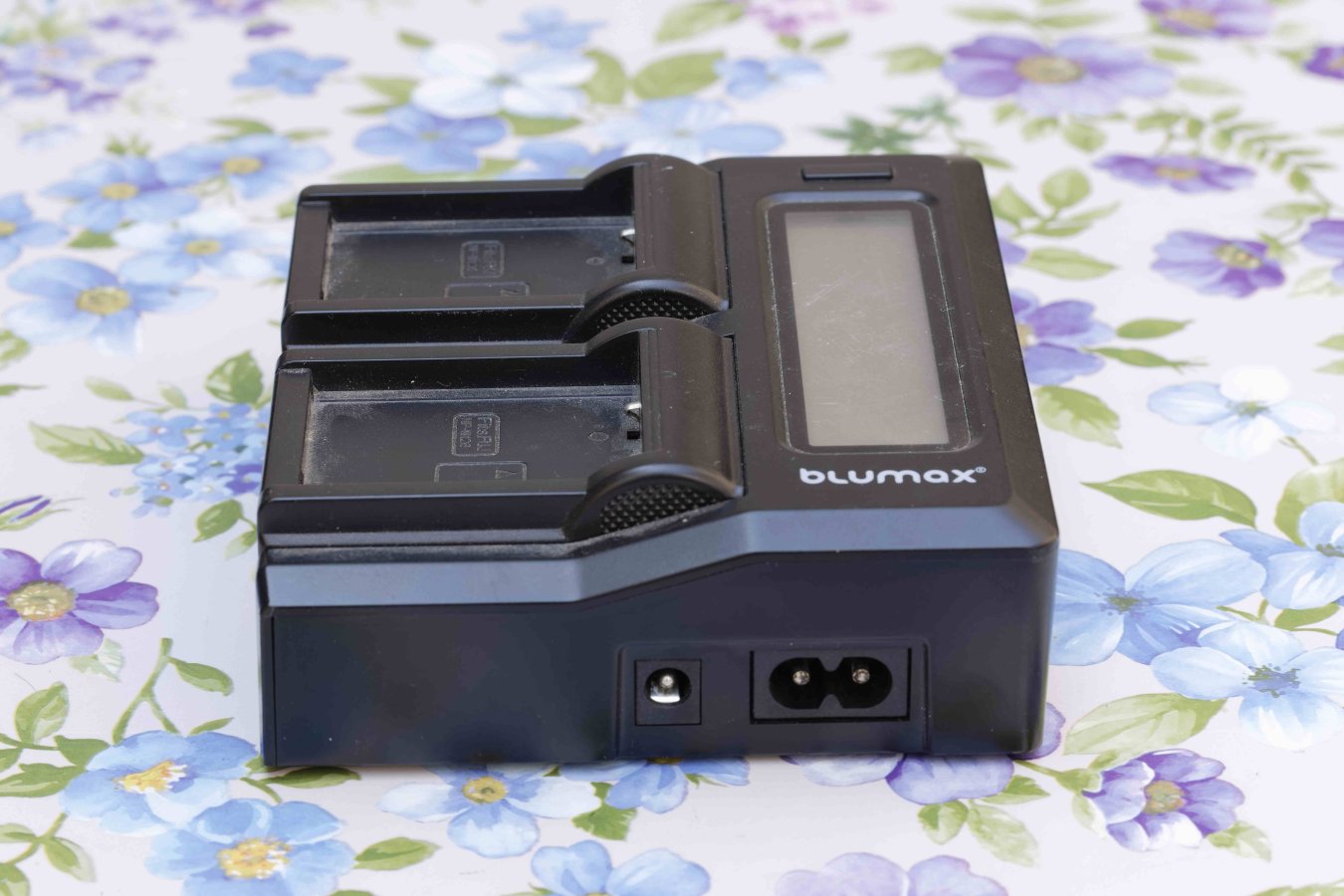 _MGL76132023-08  blumax fuji.jpg