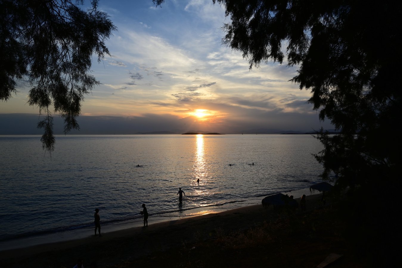 DSC_1597.jpg