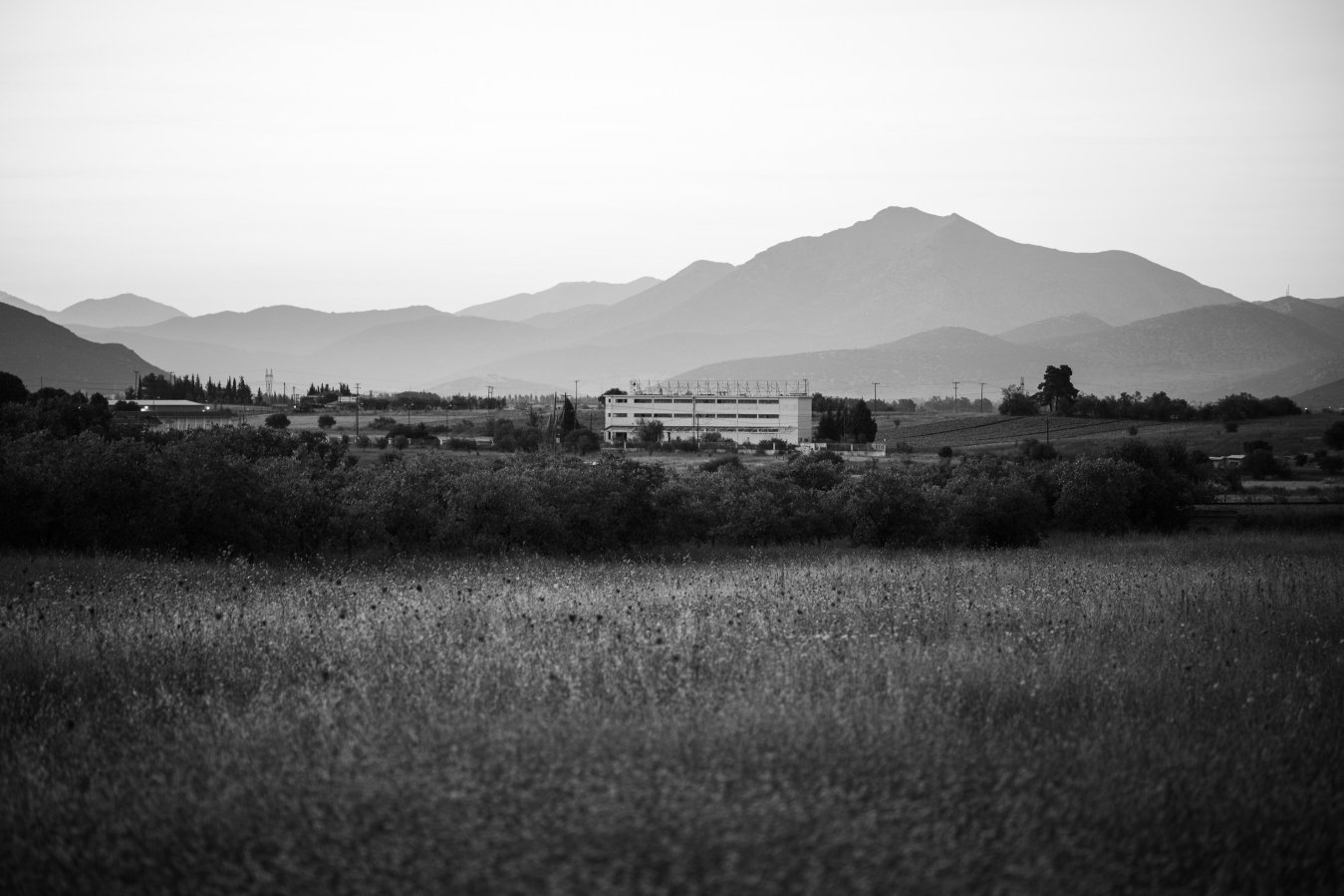DSC_7704.jpg