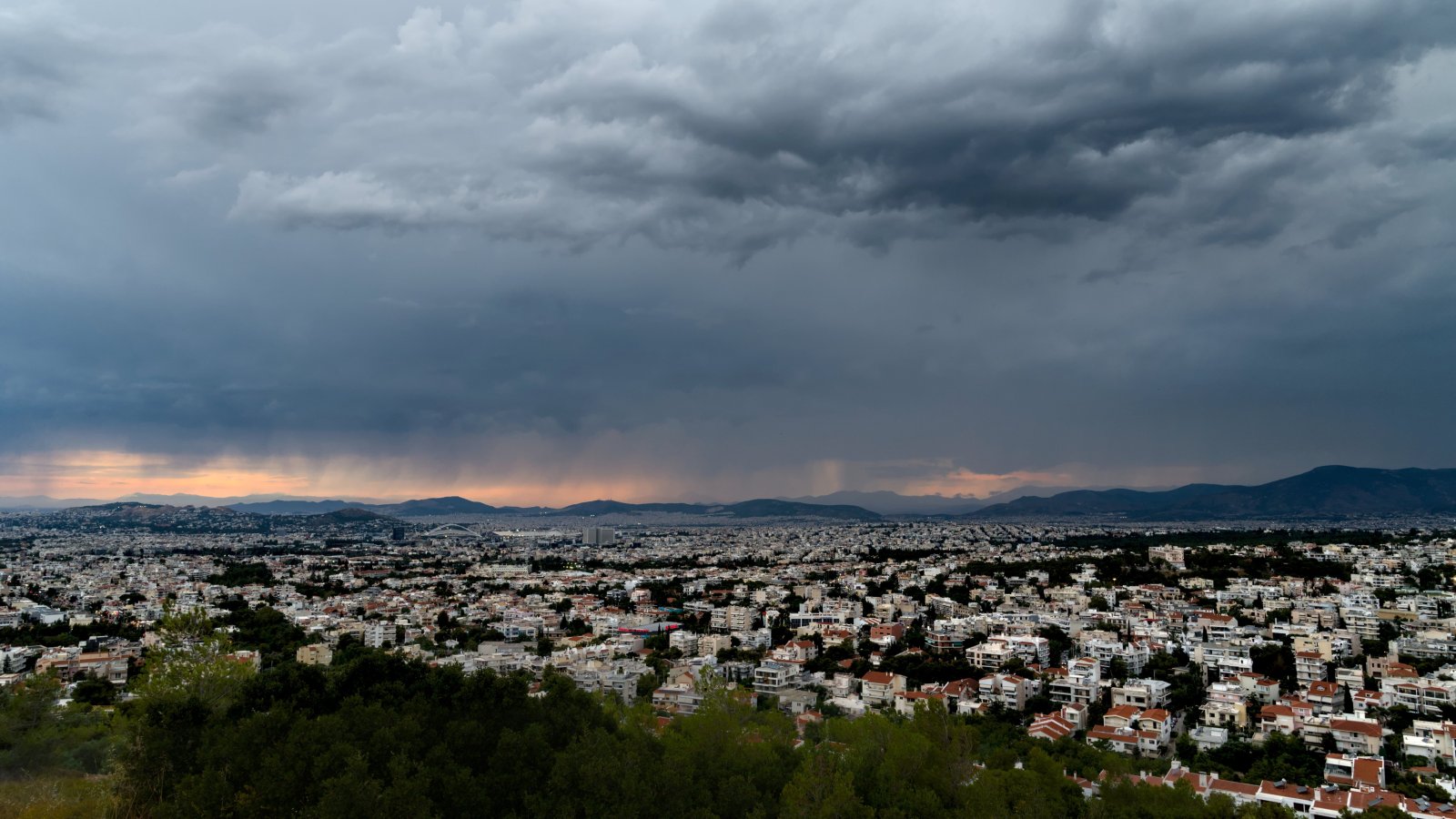 DSC_1626.jpg