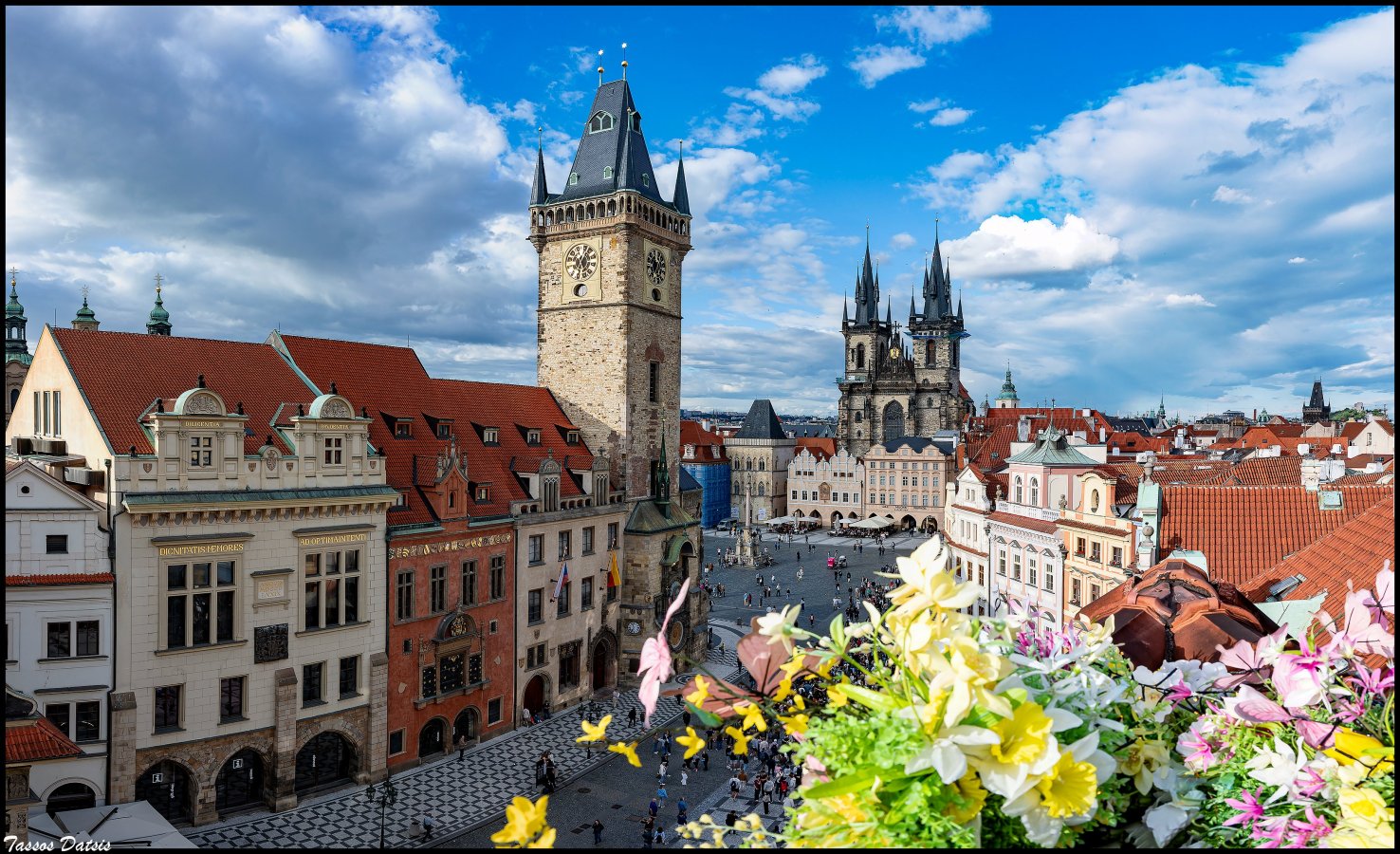 Untitled_Panorama-1.jpg