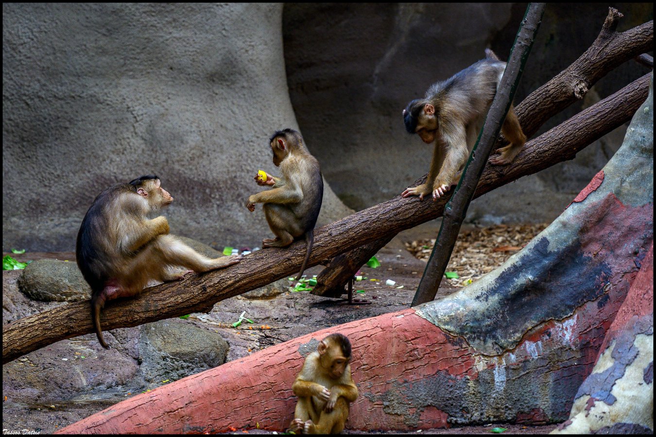 _DSC9889.jpg