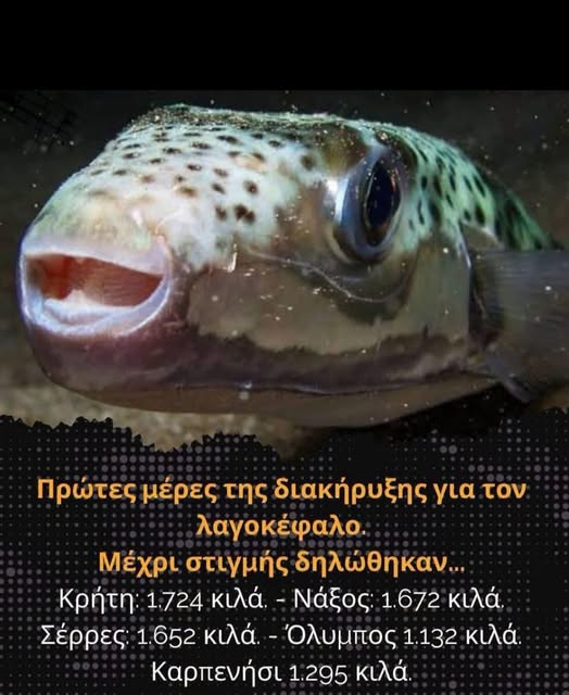 1782579389689.png