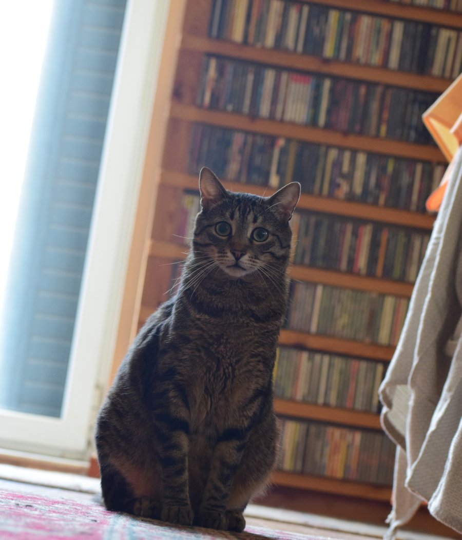 DSC_0329.jpg