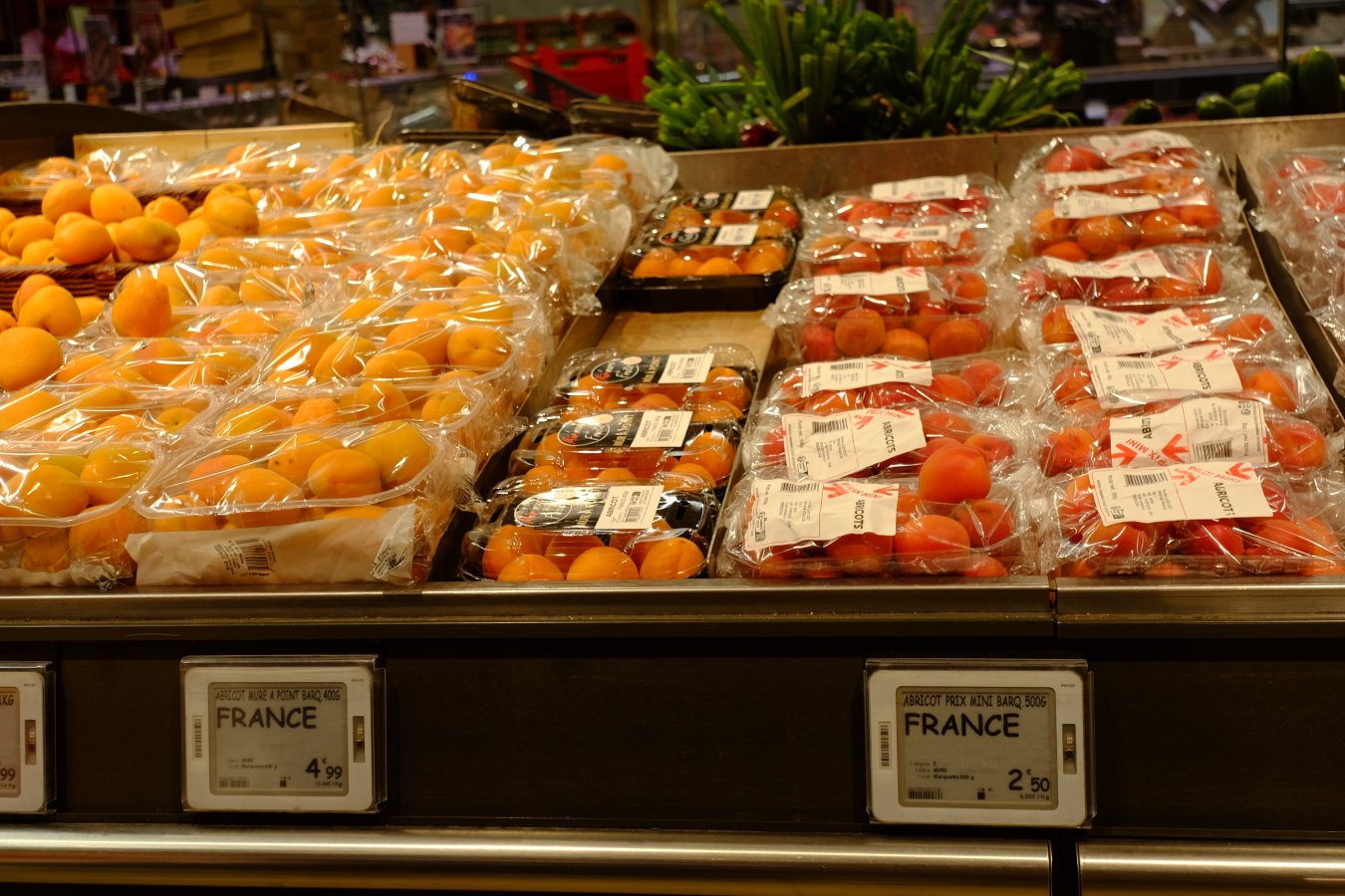 DSCF2233.JPG