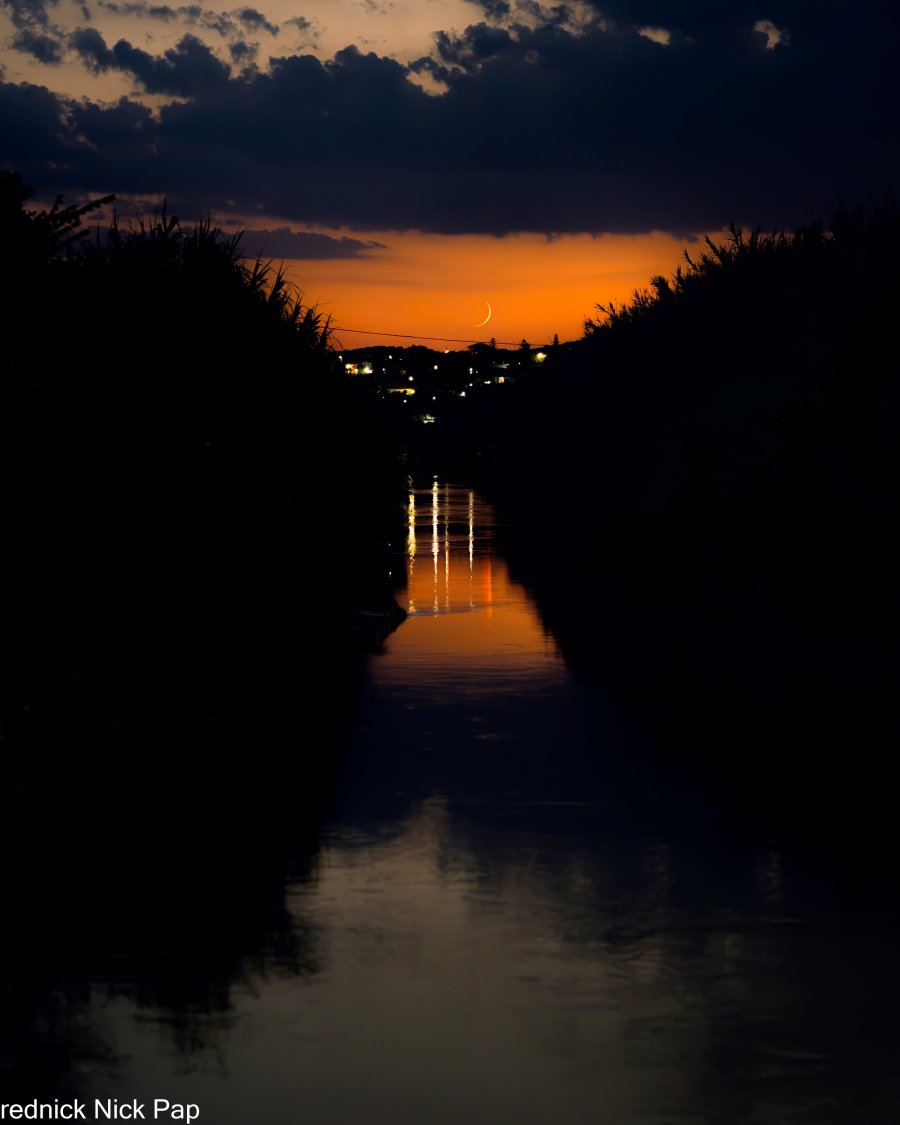 Z8P_6914.JPG