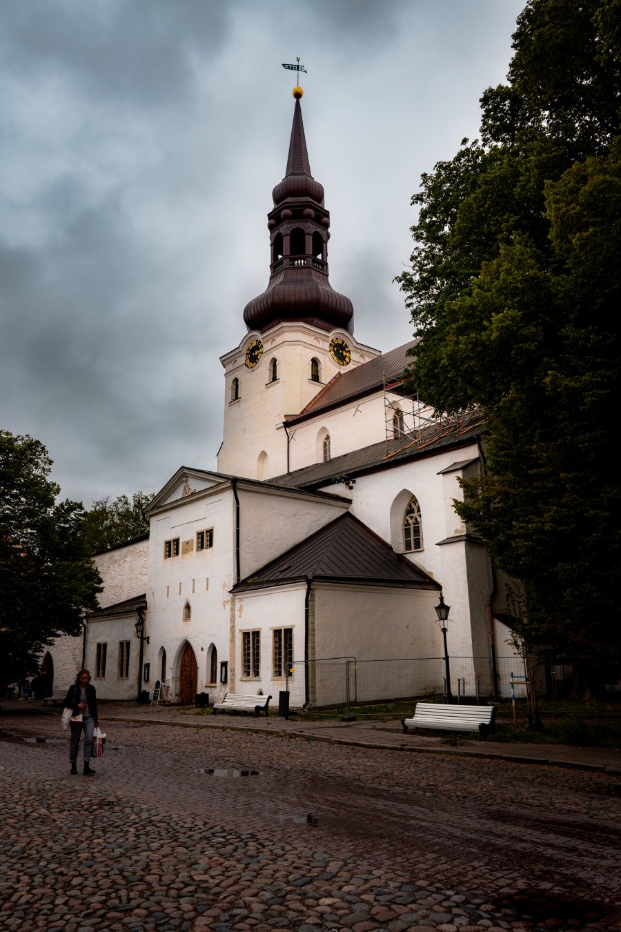 DSC08029-2.jpg