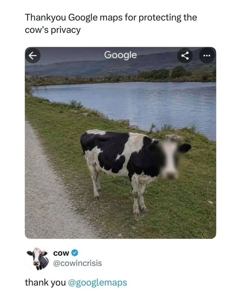 10490.jpg