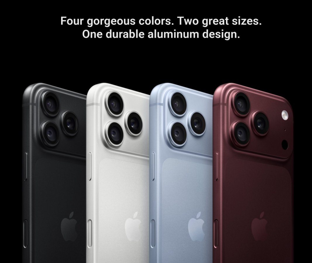 13462.jpg 13462.jpg