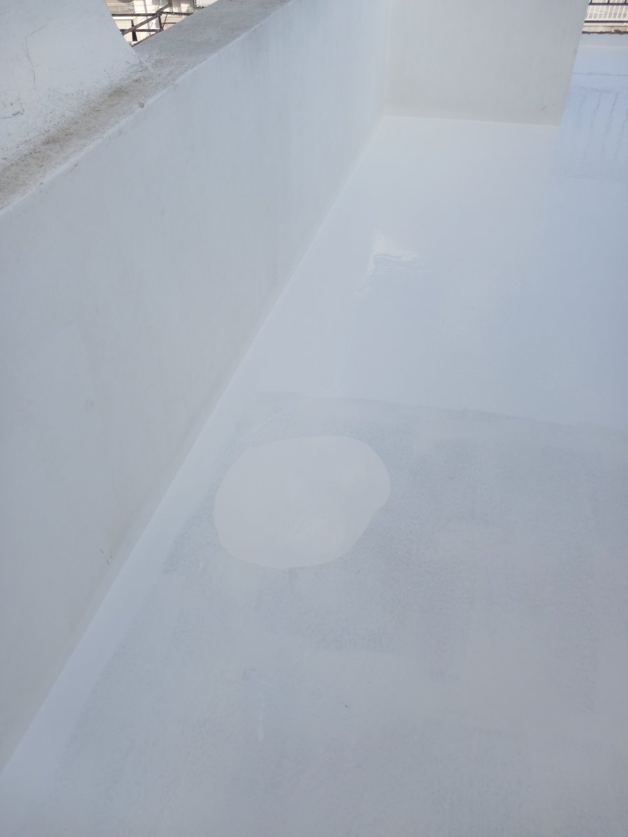 20260830_091237.jpg