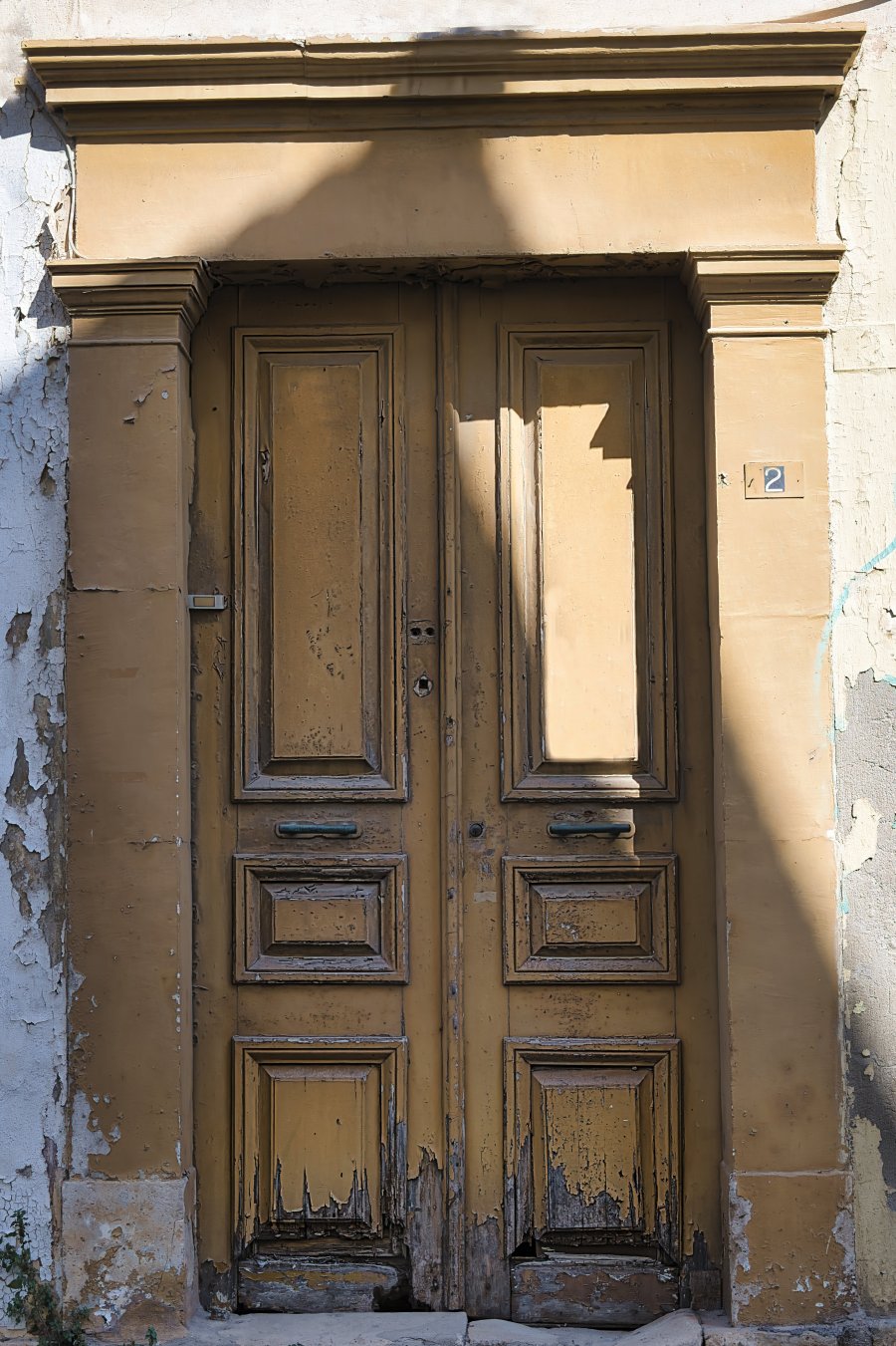 _Z626451.jpg