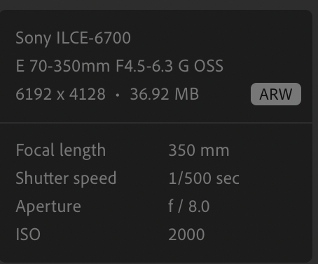 Screenshot 2026-09-30 at 16.28.16.png