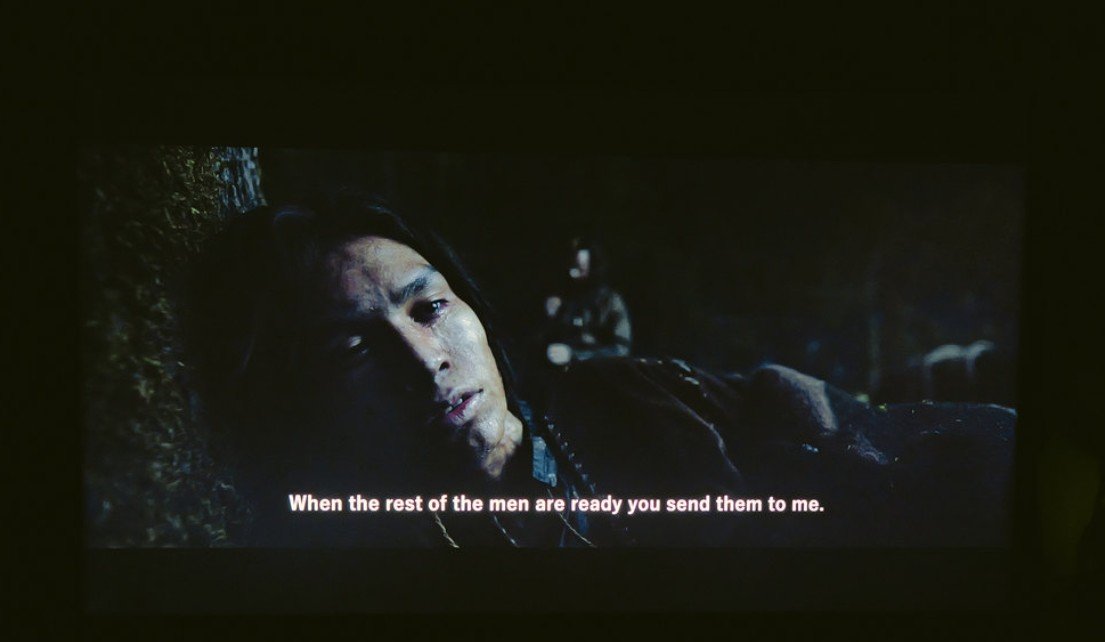 Samsung QE55QN80H standard test scene from The Revenant 2015, HDR10 front tvtestpl.jpg