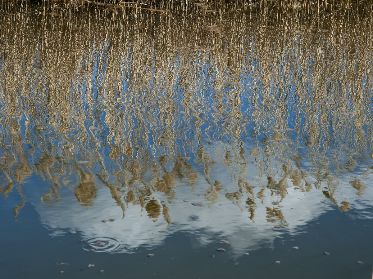 D70_2482-Edit.jpg