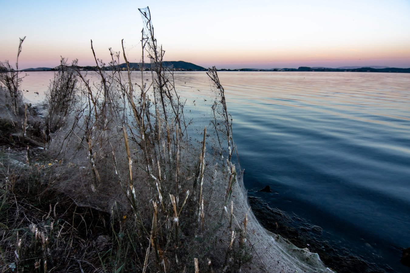 _DSC8119.jpg