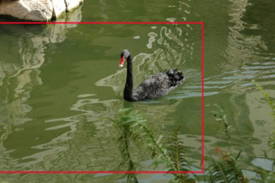 1793268464560.png 1793268464560.png