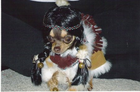image003.jpg