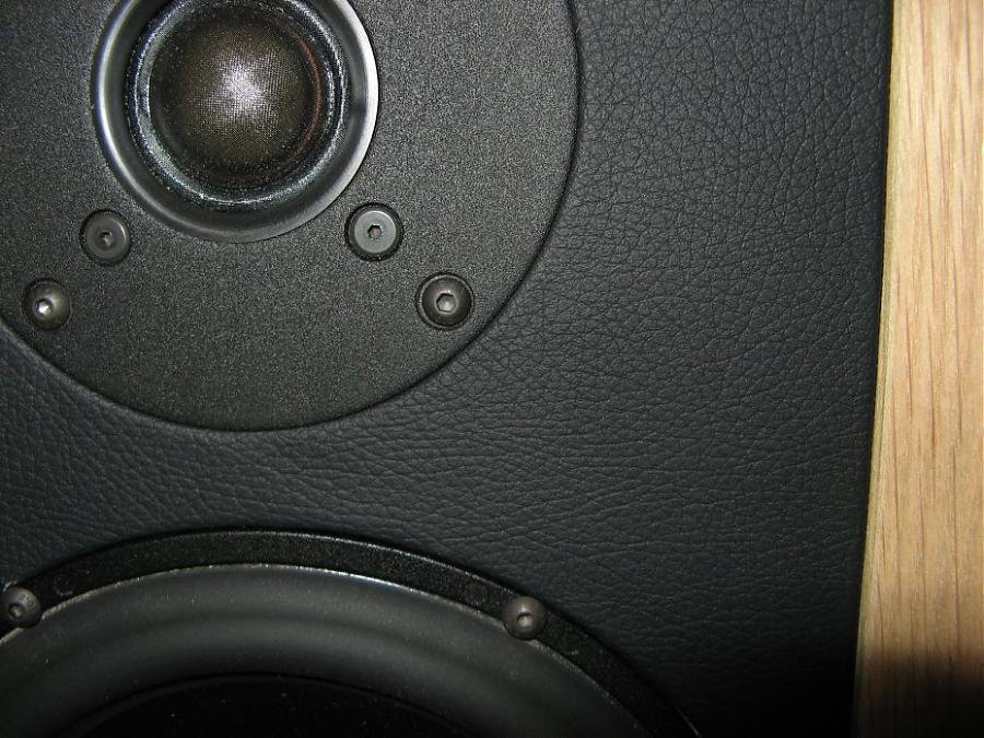 ScanspeakMMT 010_.jpg