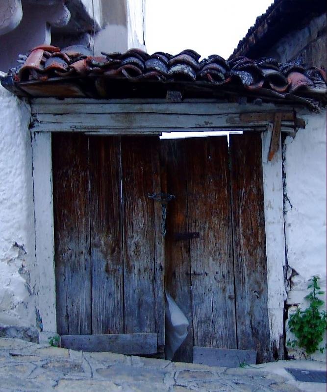 DSCF3757.jpg