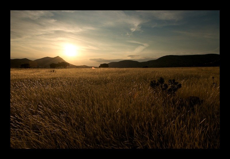 2008-06-08 at 20-04-21 - Version 2.jpg