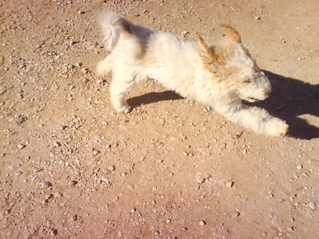 DSC00020.JPG