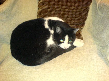 DSC00374.jpg