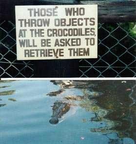 sign_crocodile.jpg