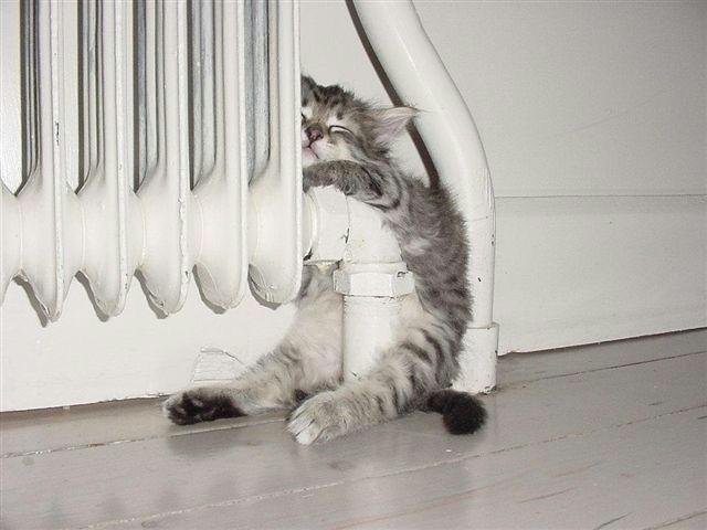 nice_warm_pussy.jpg