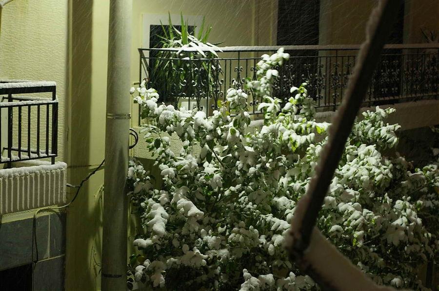 BIOS - Snow - 05.jpg