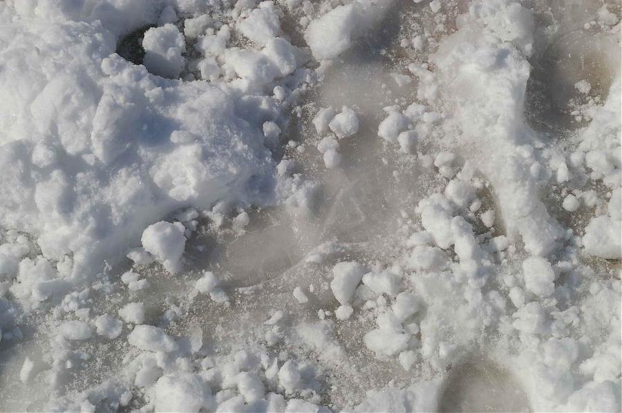 BIOS - Snow - 10.jpg