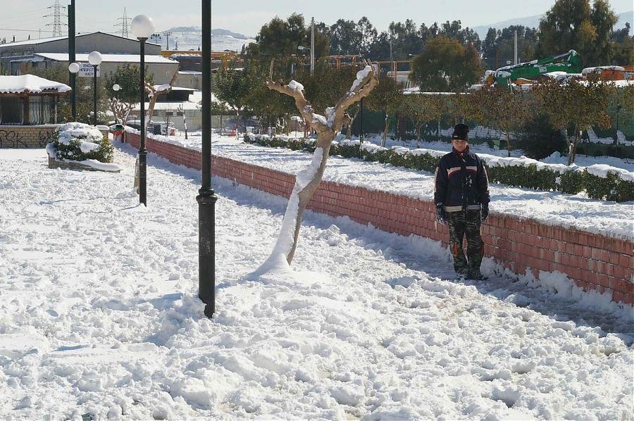 BIOS - Snow - 11.jpg