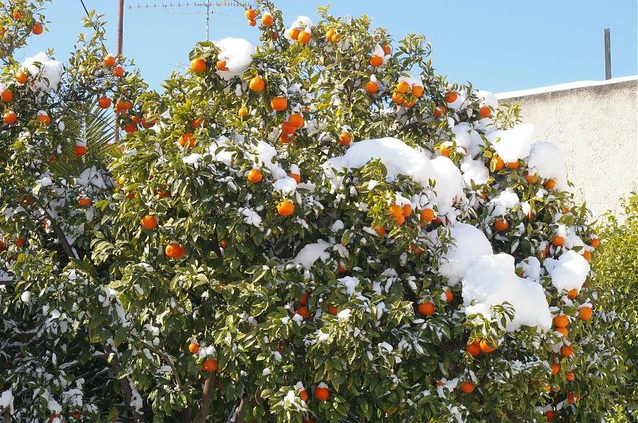 BIOS - Snow - 13.jpg