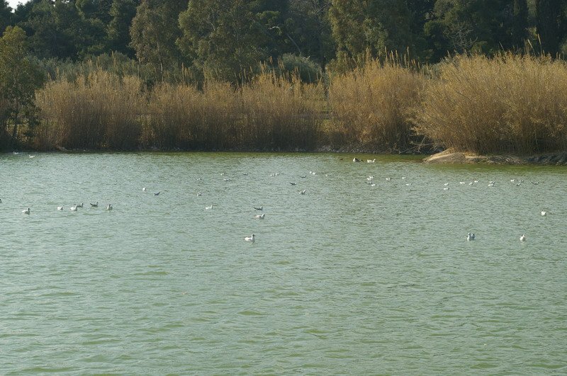 BIOS - Sunday - 22.jpg