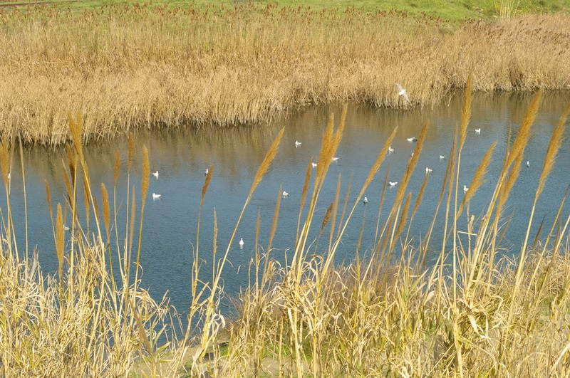 BIOS - Sunday - 19.jpg