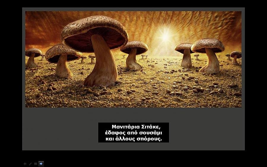 ΓΒ§Γβ°ΓΒΓΒ―Γβ ΓβΓΒ―ΓβΓΒ»ΓΒΏ.jpg